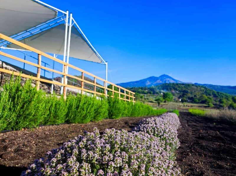 Etna Aromatic Experience: Scents of Sicily and Signature Flavors - FAQs