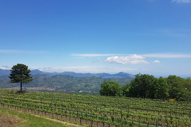 Etna Classic & Winery (day trip) - The Driver & Personal Service