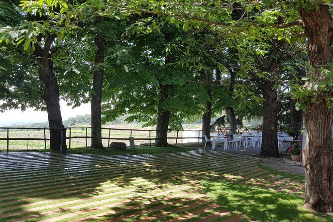 Etna Classic & Winery (day trip) - FAQ