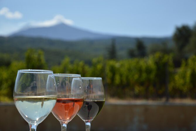 Etna DOC & Organic Wine tasting and tour of the 1815 historic winery - Who Will Love This Tour?