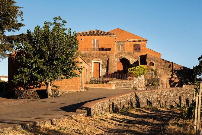 Etna DOC & Organic Wine tasting and tour of the 1815 historic winery - Final Thoughts