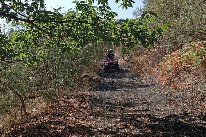 Etna Easy Tour - What to Expect from the Etna Easy Tour