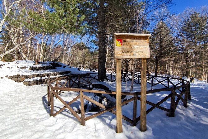 Etna excursion and wine tasting with Sicilian lunch - Considerations and Downsides