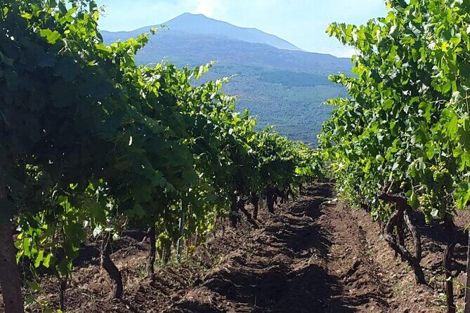 Etna excursion and wine tasting with Sicilian lunch - Final Thoughts