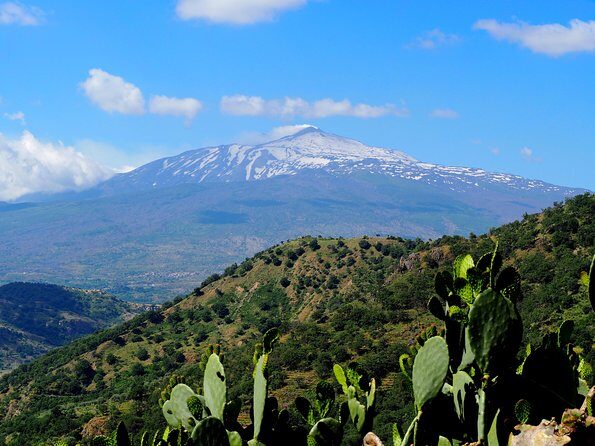 Etna Grantour - 4x4 & trekking - Private tour with lunch included - What to Expect from the Tour