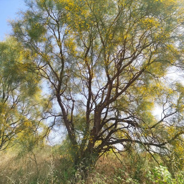 Etna Morning Tour, caves and craters - Is This Tour Worth It?