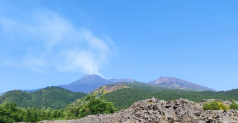 Etna Morning Tour, caves and craters - Who Would Love This Tour