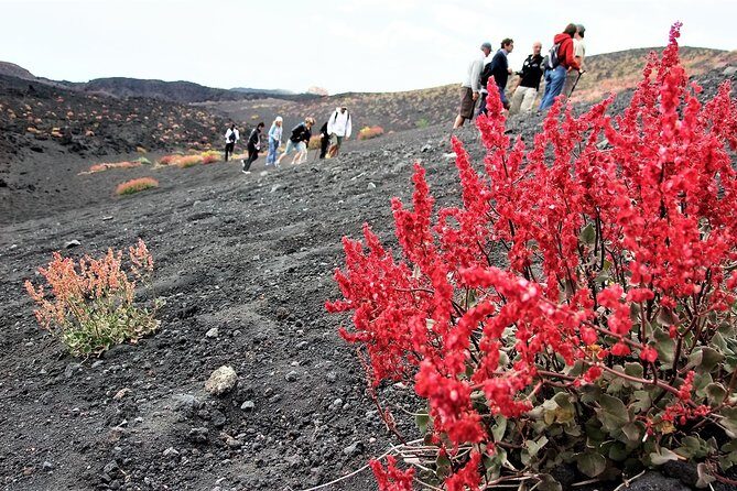 Etna Morning Trip - A Deep Dive into the Etna Morning Trip