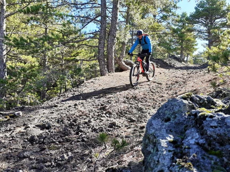 Etna: Mountain Bike or E-Bike Tour on Mount Etna - Why Consider This Tour?