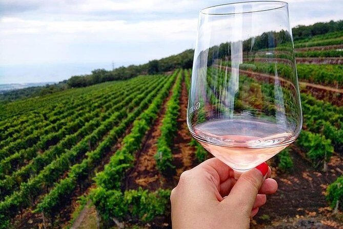 Etna panoramic private tour+Wine taste&food combination(AMAZING) - An Encounter with Mount Etna: What the Tour Offers