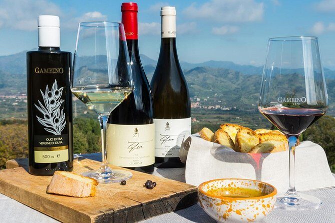 Etna Private tour from Messina Cruise Terminal + Lunch at Winery - FAQ