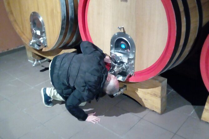 Etna private tour with wine cellar gambino lunch and wine tasting - Things to Keep in Mind