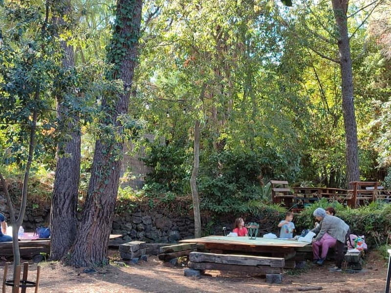 Etna & Sea: Pic Nic in Batia - Key Points