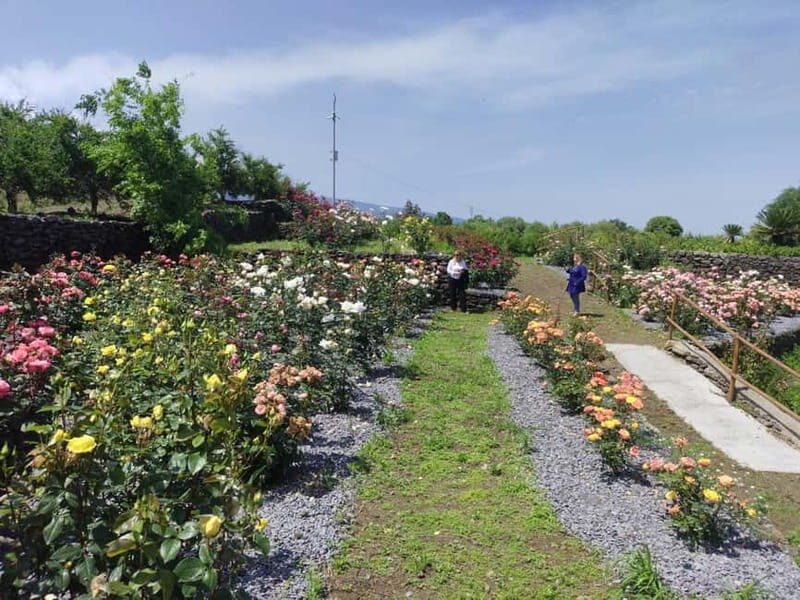 Etna & Sea: Pic Nic in Batia - Exploring the Experience in Detail