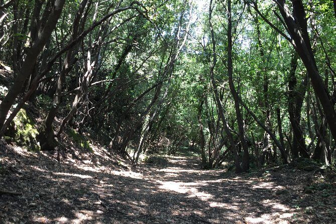 Etna Tour for Cruises (from the port of Catania) - Final Thoughts