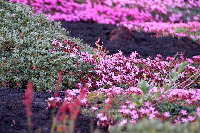 Etna Tour in 4x4 - Final Thoughts