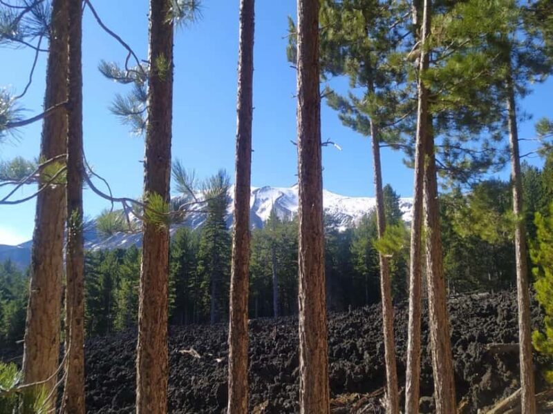 Etna walking tour, visit of a lava tunnel, Arancino tasting - Key Points