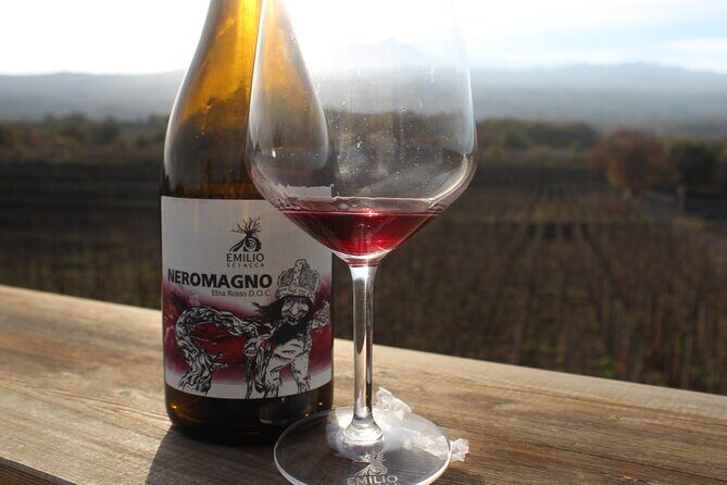 Etna Wine and Alcantara - Setting the Scene: What is the Etna Wine and Alcantara Tour?