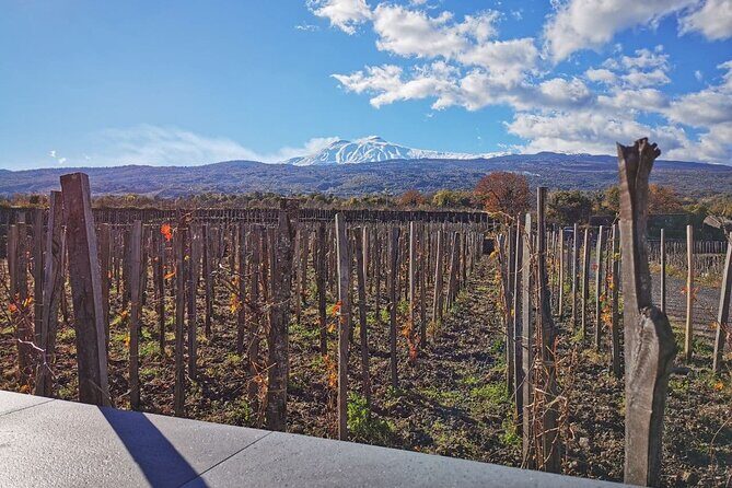 Etna Wine and Alcantara - What Travelers Love About This Tour