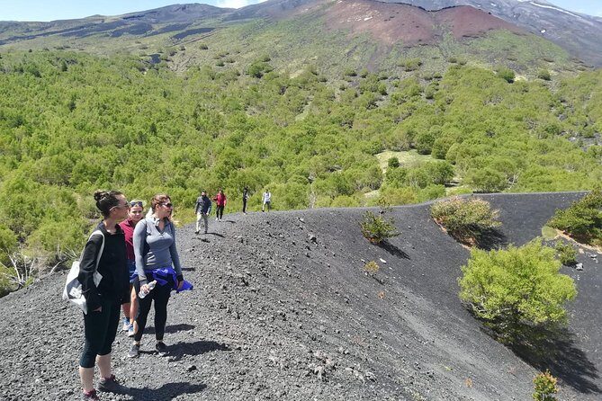 Etna, Wine and Alcantara Tour - From Taormina - What to Expect on the Tour