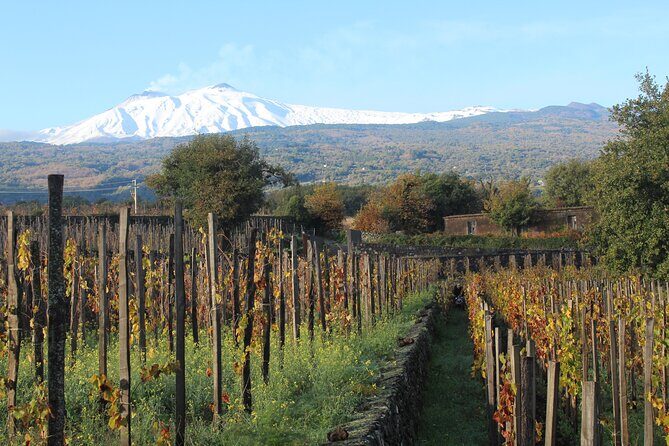 Etna Wineries Tour - FAQ