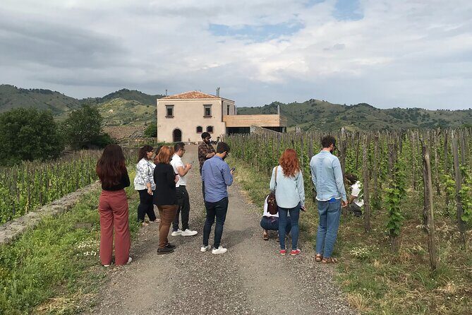 Etna Wineries Tour - Small Groups from Taormina - The Essence of the Tour: What You Can Expect