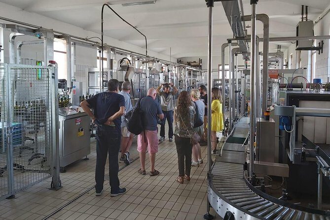 Etna Wineries Tour - Small Groups from Taormina - Pros and Cons: What to Consider