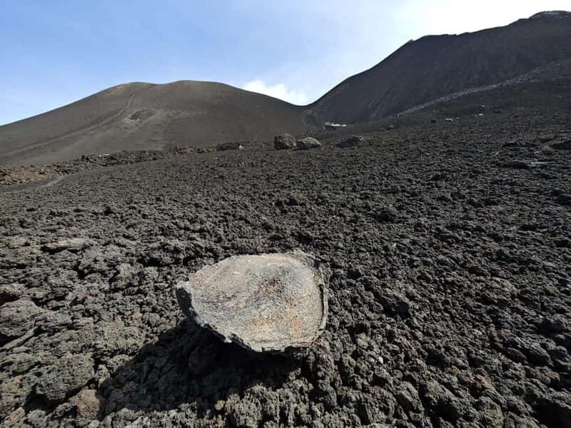 EtnaRunWalk: Hiking with GV on Europe's highest active volcano - Key Points