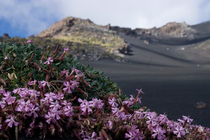 Etna's Hidden Gems - Trek Valle Bove & Lava Tunnel with Gear - Who Is This Tour Best For?