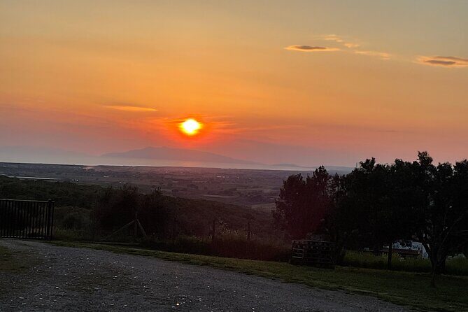 Etruscan Cooking Class in Tarquinia - The Sum Up