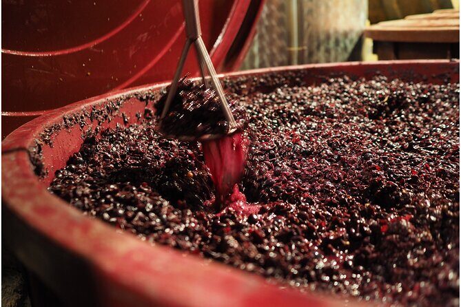 Etyek Private Half-Day Wine Tasting Tour from Budapest - The Sum Up