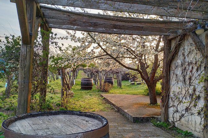 ETYEK wine trip - Just a stones throw away from Budapest - Key Points