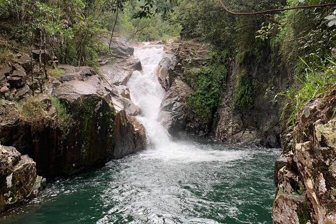 Eungella Platypus Tour - Exploring Finch Hatton Gorge and Eungella National Park