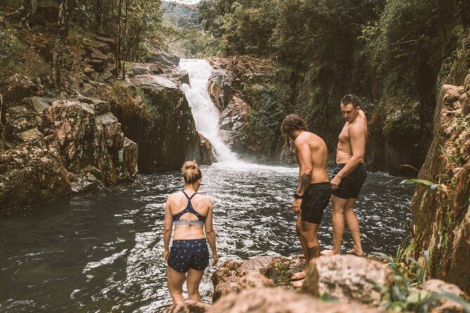 Eungella Platypus Tour - Wildlife Spotting and Platypus Watching