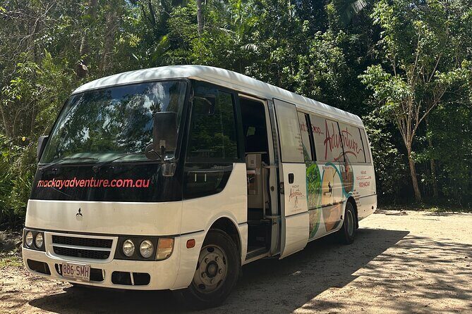 Eungella Platypus Tour - Real Traveler Experiences