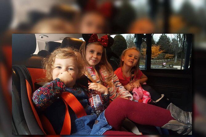 Euro Disney - CDG (One Way) Private Shuttle Transfer - Why We Think This Transfer Service Works Well