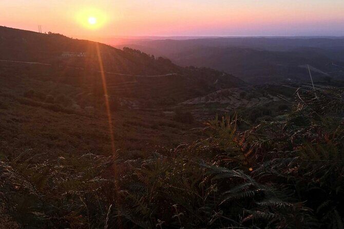 Evening 4x4 Tour of Monchique Hills with Dinner - FAQ