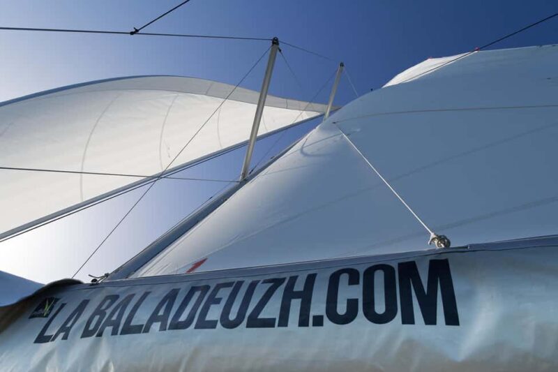 Evening aperitif cruise at the entrance of Morbihan's Gulf - The sailing experience