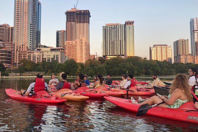 Evening Bat Watching Kayak Tour - Key Points