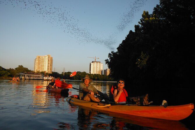Evening Bat Watching Kayak Tour - FAQ