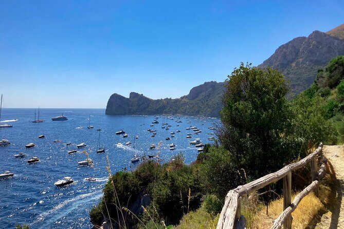 Evening Boat Tour with Dinner Experience - What We Loved and What to Consider