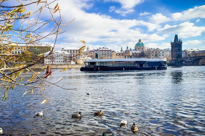 Evening Eco Cruise With a Glass of Prosecco in Bohemia - Who Is This Tour Best Suited For?