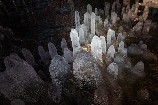 Evening Lava Tunnel Tour and Northern Lights - Who will love this experience?