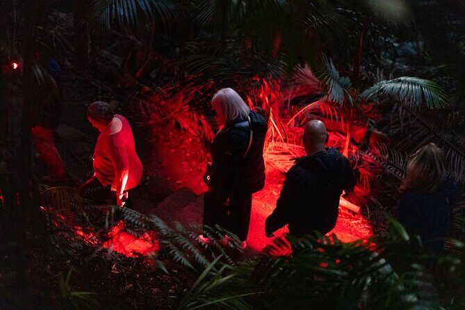 Evening Rainforest & Glow Worm Tour from Gold Coast - The Group Size and Duration