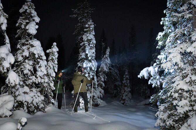 Evening Ski Trek to the Wilderness - Extra Small group - Key Points