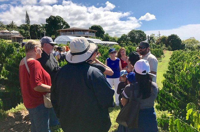 Evening Volcano Explorer Tour from Kona - FAQs about the Evening Volcano Explorer Tour from Kona