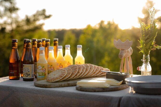 Evening Wildlife Safari Stockholm - What Do the Reviews Say?