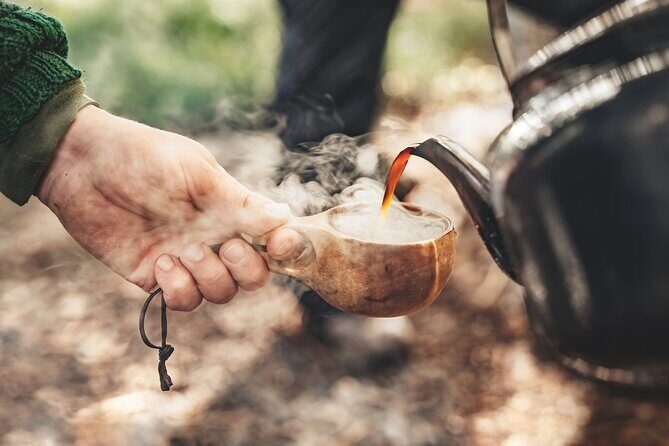 Evening Wildlife Safari Stockholm - Who Is This Tour Best For?