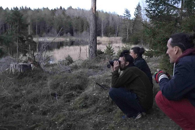 Evening Wildlife Safari with Campfire Dinner from Stockholm - FAQ