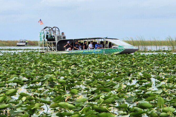 Everglades Alligator Airboat Tour with Bus transfer from Miami - What You Can Expect on This Tour